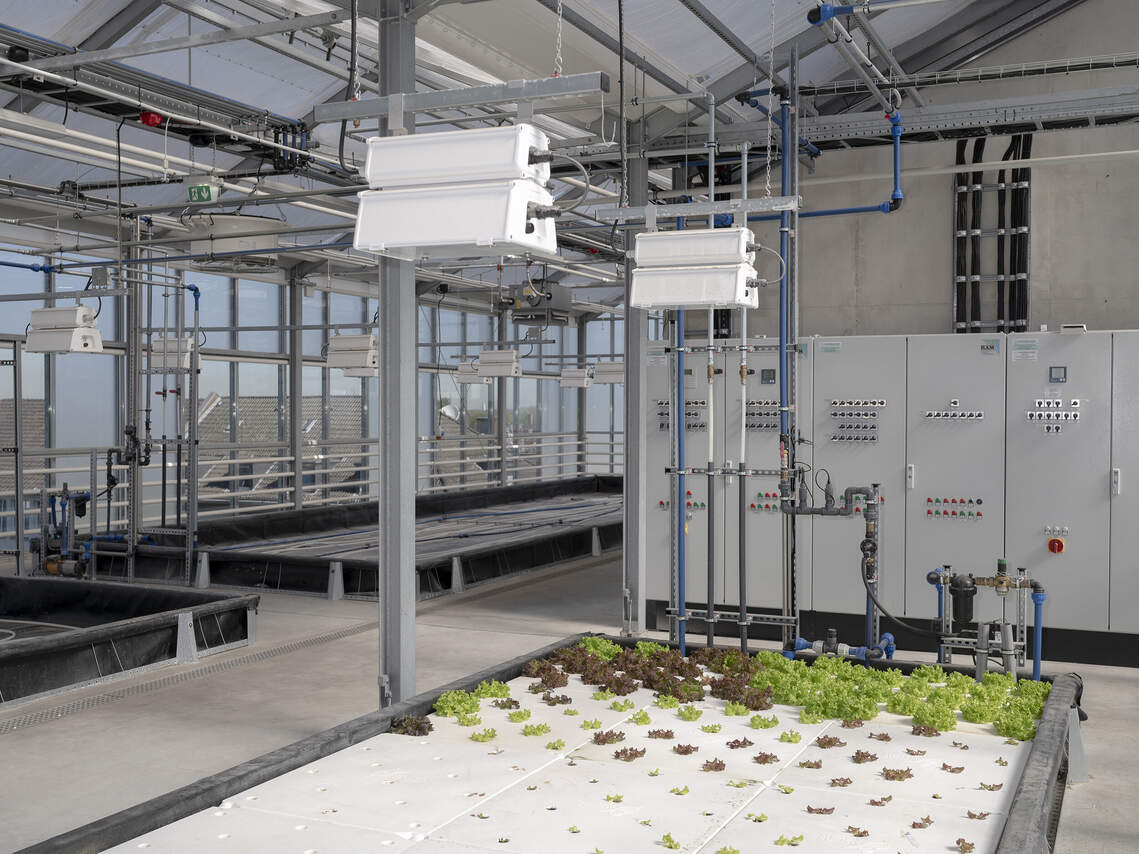 Das Fraunhofer-Institut (UMSICHT) forscht im AltmarktGarten auf dem Jobcenter der Stadt Oberhausen an der Vernetzung von Gebäudetechnologien, wie auch Haustechniken zur Herstellung von Lebensmitteln im innerstädtischen Raum.