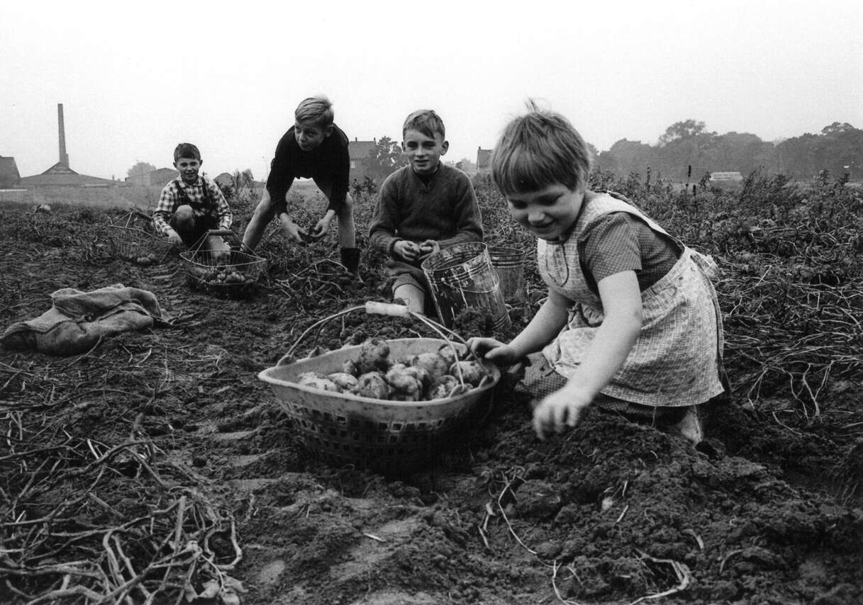 Kinder bei der Feldarbeit Ortsteil Schwerin