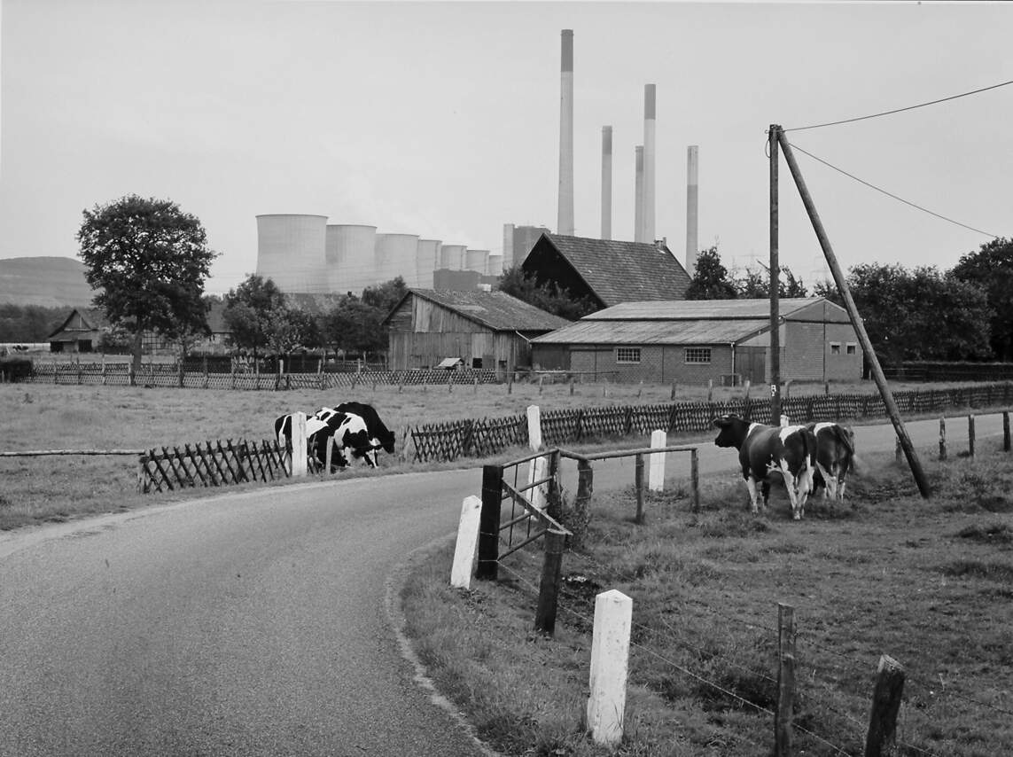 Im Hintergrund das Kraftwerk Gelsenkirchen-Scholven
