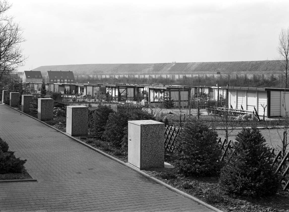 Kleingartenanlage entlang der Heßlerstraße, im Hintergrund die Schurenbachhalde